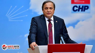 CHP Genel Başkan Yardımcısı Torun:İktidar fındıktaki feryadı duymalı