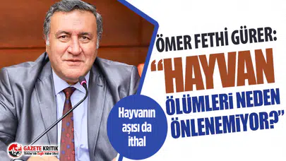 CHP'li Gürer, Hayvan Ölümlerini Tbmm Gündemine Getirdi