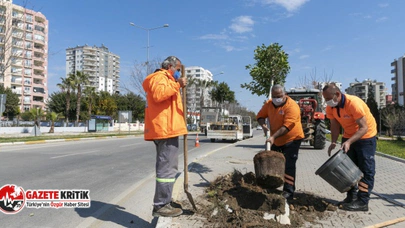 Mersin Büyükşehir, Kaldırımları Hem Yeniliyor Hem Bitkilendiriyor