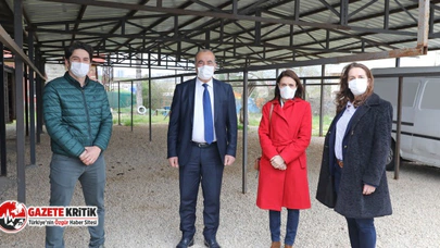 Mudanya’ya Sokak Hayvanları Rehabilitasyon Merkezi Ve Barınak