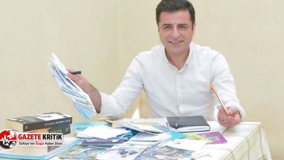 Başak Demirtaş: Selahattin Demirtaş'a fotoğrafta gülüyor diye kimlik kartı vermemişler