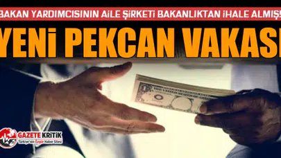 Bakan yardımcısının aile şirketi bakanlıktan ihale almış! Yeni Pekcan vakası