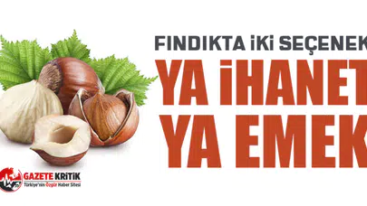 CHP'li Mustafa Adıgüzel: Fındıkta iki seçenek: Ya ihanet ya emek