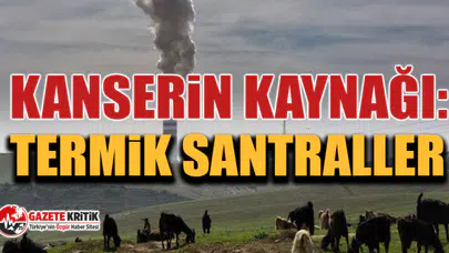 CHP'li Özgür Ceylan, Kanserin Kaynağı: Termik Santraller