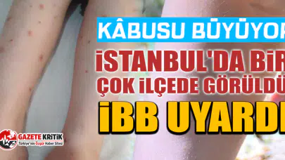 Kâbusu büyüyor... İstanbul'da bir çok ilçede görüldü: İBB uyardı