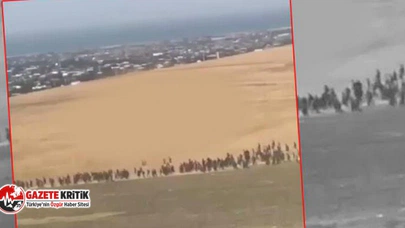 Van'da 113 Afgan göçmen yakalandı