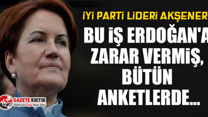 Meral Akşener: Bu iş Erdoğan'a zarar vermiş, bütün anketlerde...