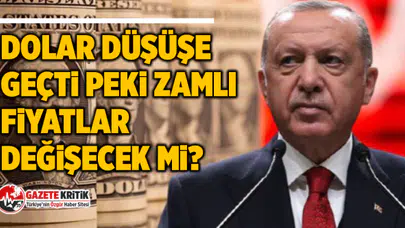 Dolar düşüşe geçti Peki zamlı fiyatlar değişecek mi?