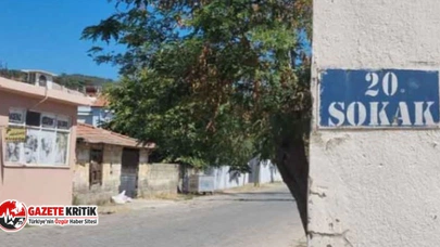 Bir sokağı pire ve keneler sardı