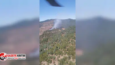 Adana'da orman yangını