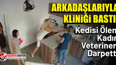 Arkadaşlarıyla Kliniği Bastı! Kedisi Ölen Kadın Veterineri Darpetti