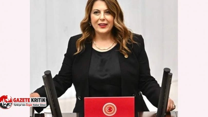 CHP'li Elvan Işık Gezmiş: İlaca erişim her geçen gün zorlaşıyor