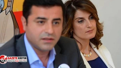 Başak Demirtaş'tan İstanbul adaylığı açıklaması