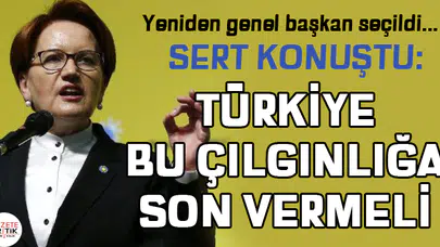 Akşener yeniden genel başkan