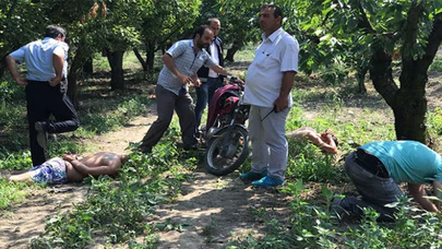 Uyuşturucu satıcıları zeytinlikte yakalandı