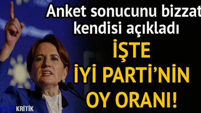 Meral Akşener elindeki son anketi açıkladı!