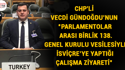CHP'Lİ VECDİ GÜNDOĞDU'NUN 'PARLAMENTOLAR ARASI BİRLİK 138. GENEL KURULU VESİLESİYLE İSVİÇRE'YE YAPTIĞI ÇALIŞMA ZİYARETİ'