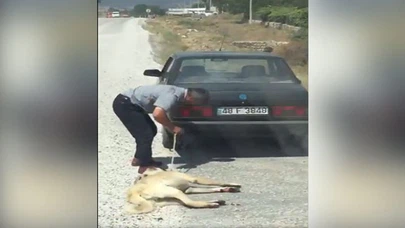 Otomobilin arkasına bağlanan köpeğin çalıntı olduğu iddiasına soruşturma