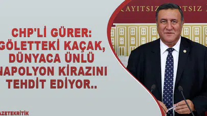 CHP'Lİ GÜRER: GÖLETTEKİ KAÇAK, DÜNYACA ÜNLÜ NAPOLYON KİRAZINI TEHDİT EDİYOR..