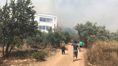 Bodrum'da korkutan yangın