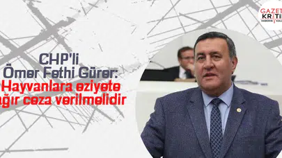 CHP'li Ömer Fethi Gürer: Hayvanlara eziyete ağır ceza verilmelidir