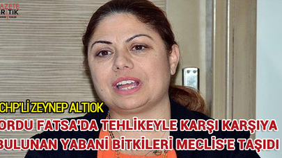 ALTIOK, ORDU FATSA'DA TEHLİKEYLE KARŞI KARŞIYA BULUNAN YABANİ BİTKİLERİ MECLİS'E TAŞIDI