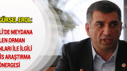 CHP'Lİ GÜRSEL EROL:TUNCELİ'DE MEYDANA GELEN ORMAN YANGINLARI İLE İLGİLİ MECLİS ARAŞTIRMA ÖNERGESİ