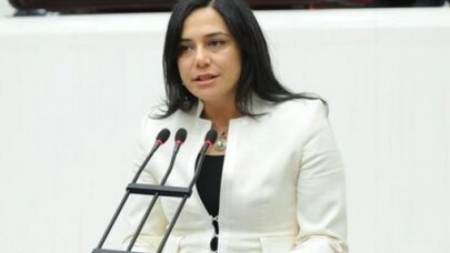 CHP'li Yüceer'den şiddete uğrayan engelli kadın ve çocuklarla ilgili Meclis Araştırması