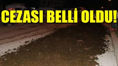 CHP'lilerin kampına tezek dökmüştü...