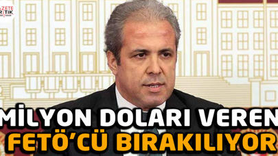 Milyon doları veren FETÖ'cü bırakılıyor