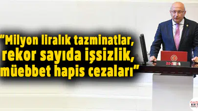 CHP'li Çakırözer: Basın özgürlüğüne vurulan kelepçe çözülmedi