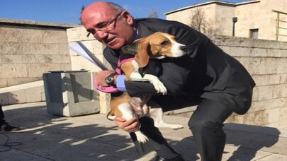 Mahmut Tanal Meclis'e köpek getirdi: Vatandaşlarımızı bu hale köpekler mi yoksa AKP mi getirdi?