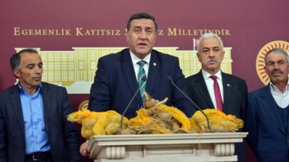 Patates üreticisi kaygılı