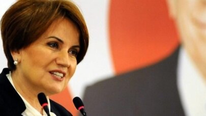 'Yeni parti sonbaharda ete kemiğe bürünecek, genel başkan Meral Akşener olacak'