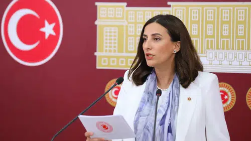 CHP'li Evrim Rızvanoğlu: Enerji politikası şirketlerin çıkarlarına göre şekilleniyor