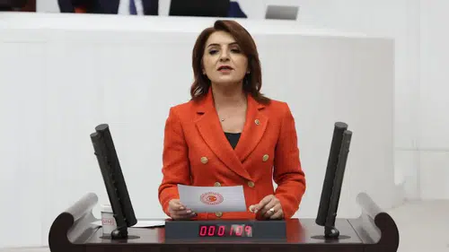 CHP'li Gülcan Kış: Saray'ın Ekim ayındaki harcaması tüm kamu kurumlarının toplamından fazla!
