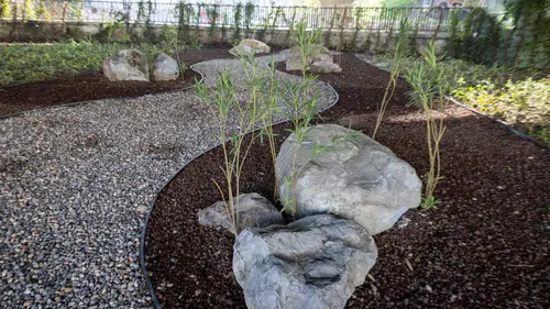 İzmir'de su tasarrufu hedefiyle peyzaj alanları kurakçıl bitkilerle güzelleştiriliyor