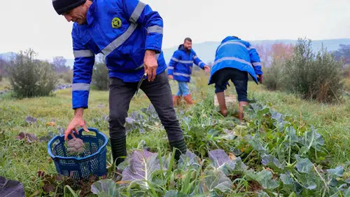 Buca Belediyesi Mevsim Sebzelerini Kent Lokantalarında Bucalılara Sunuyor