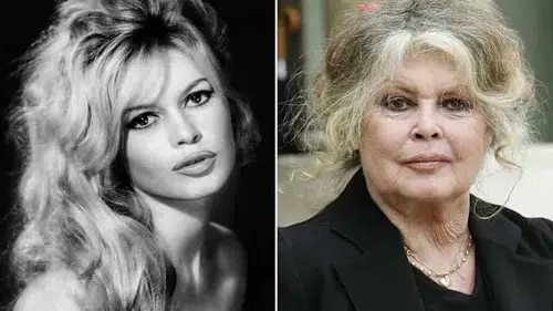 Fransız sinema ikonu Brigitte Bardot 91 yaşında hayatını kaybetti