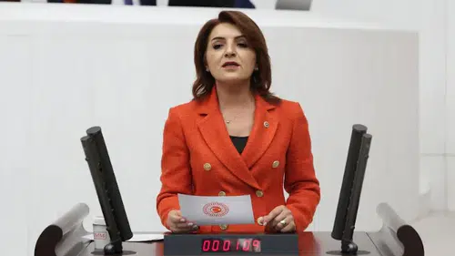 CHP'li Kış: 2026 bütçesi, halk için değil saray düzeni için hazırlandı!