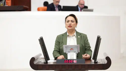 CHP, engelli bakımı için sosyal destek talepleri Meclis'e taşıdı