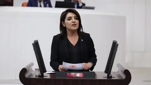CHP'li Gülcan Kış, yatırım fonlarındaki likidite krizini Meclis gündemine taşıdı