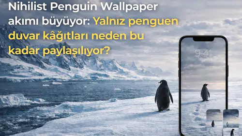 Nihilist Penguin Wallpaper akımı büyüyor: Yalnız penguen duvar kâğıtları neden bu kadar paylaşılıyor?