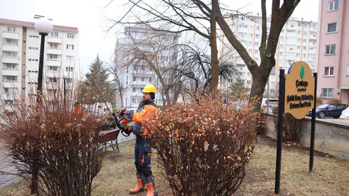 Çankaya'da ağaç budama çalışmalarıyla parklar bahara hazırlanıyor