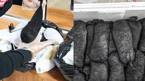 Kayseri Havalimanı'nda Şaşırtan Kaçakçılık Girişimi! 25 Bin Canlı Sülük Ele Geçirildi