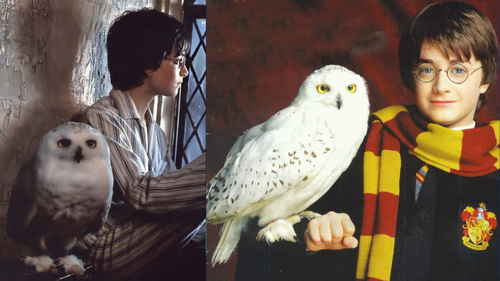 Harry Potter Geri Dönüyor! Hogwarts'a Dönüş İçin Geri Sayım Başladı