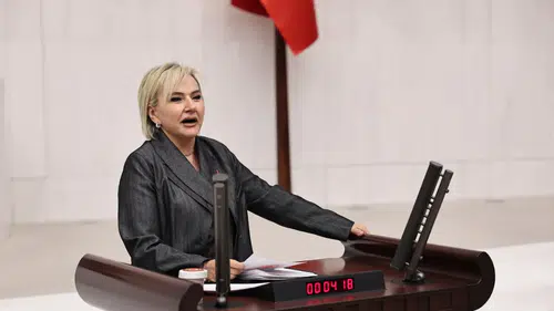 CHP'li Nimet Özdemir: Hayvanlara yapılan zulüm, toplumsal şiddeti besliyor!