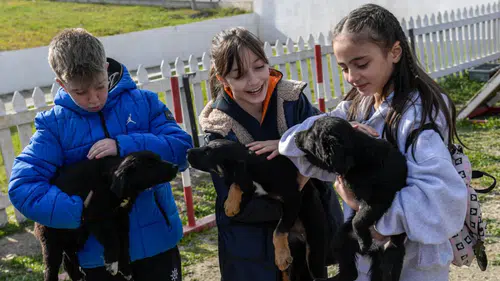 İzmir’den anlamlı çağrı: Bakımevlerinde 2 bin 300 can dost sıcak yuva bekliyor