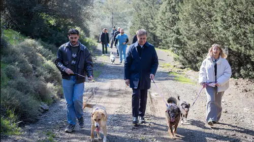İzmir'de hayvan refahı için büyük adımlar: On binlerce hayvana sağlık hizmeti sağlandı
