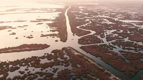 İzmir Körfezi’nde deniz marulu alarmı: Uzmanlara göre kalıcı çözüm Gediz Havzası’nda